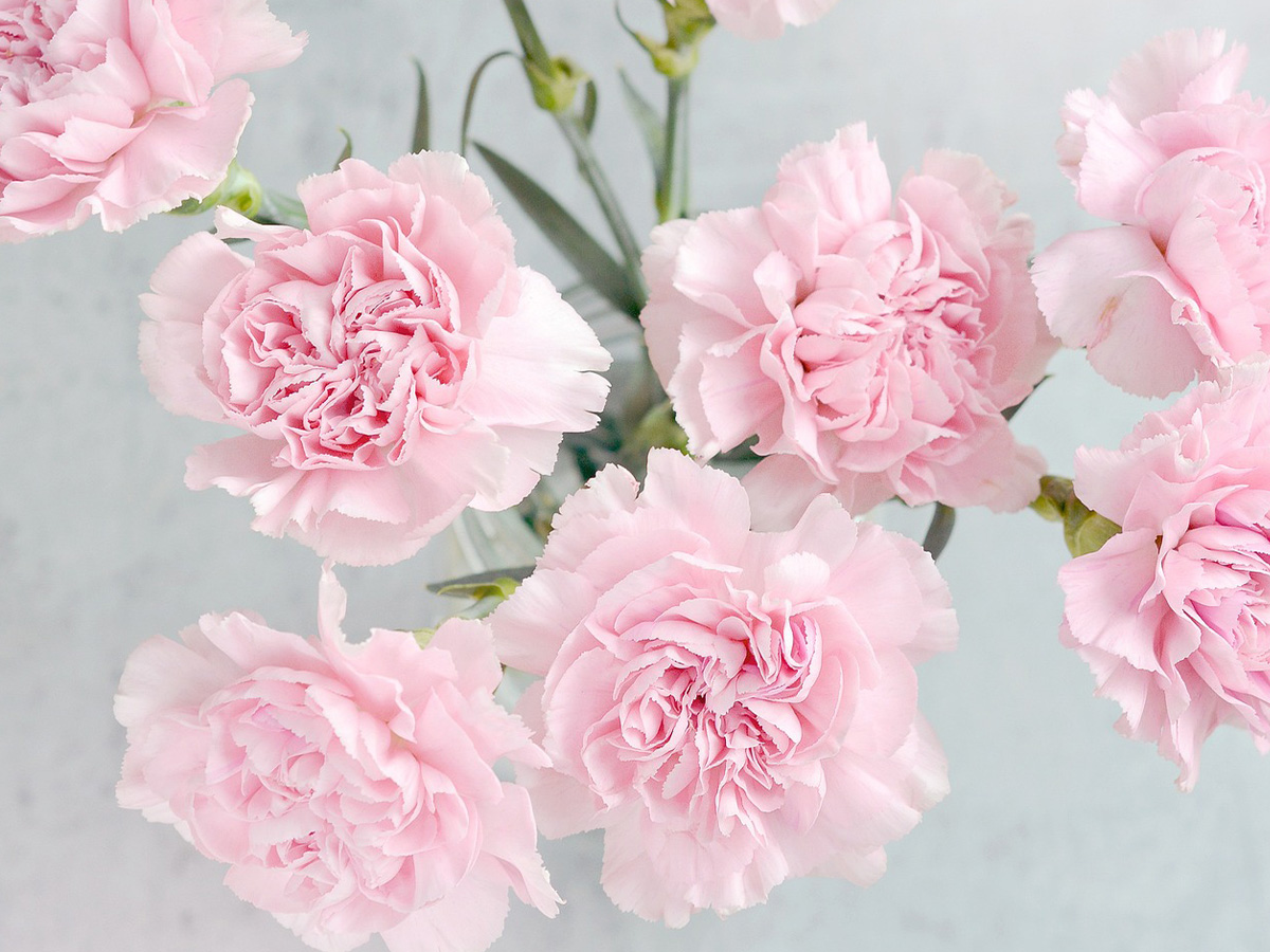 季節の生花